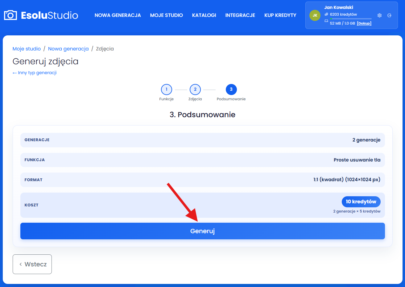 Zapoznaj się z podsumowaniem i rozpocznij generacje. 